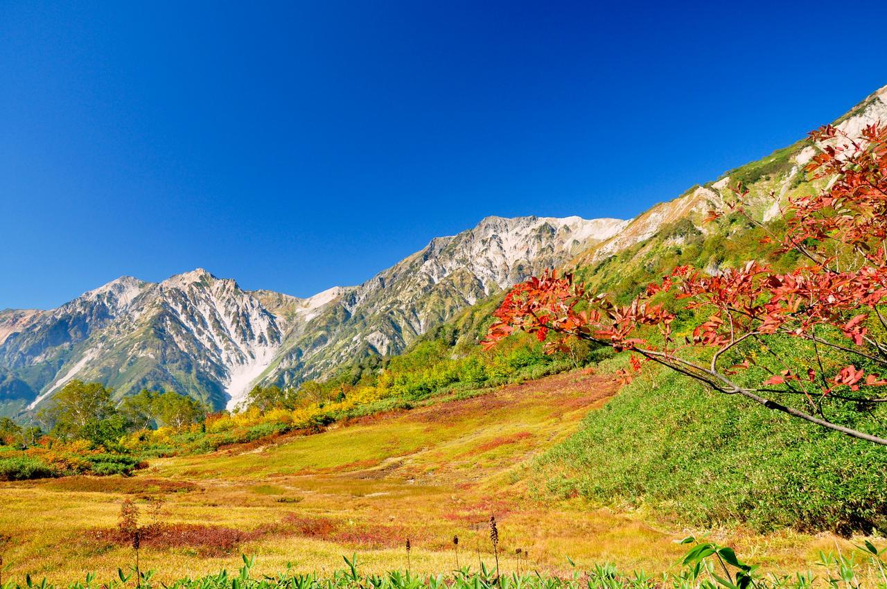 Hotel Hakuba Berghaus Otari Esterno foto